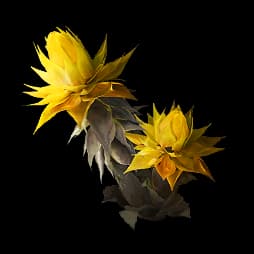 Sandleaf - Material de tipo NATURALS con rareza ★